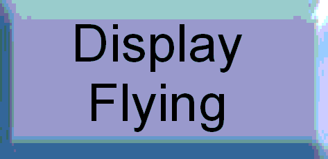pilot.gif (1720 bytes)
