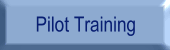 pilot.gif (1720 bytes)